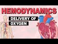 Hemodynamics and Oxygen Delivery Quiz