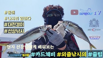 #꿀팁~ 고수에게 배워보는 고등어&전갱이 외줄낚시 (강력추천)