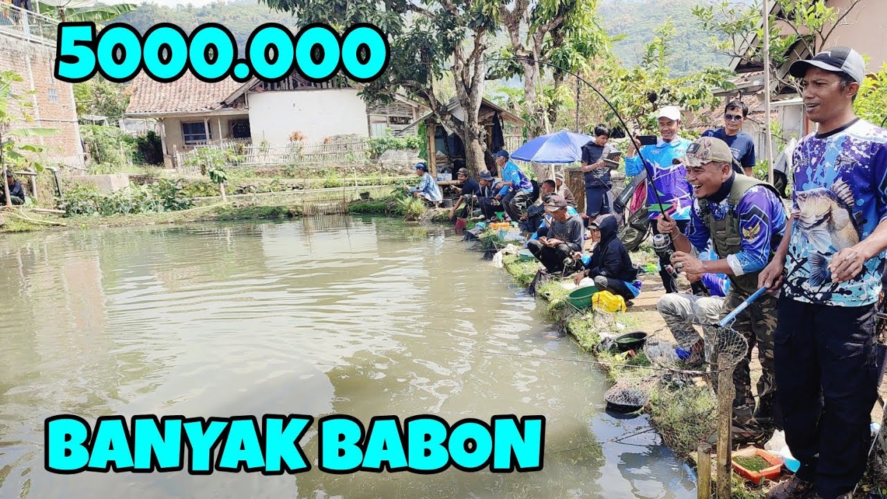 Tidak Menyesal Borongan Mancing Dengan Harga 5 Juta‼️Karna Ikan Banyak & Besar