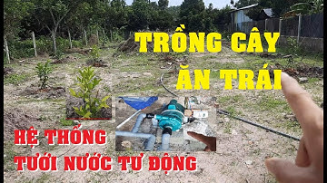 P3: Trồng Cây Ăn Trái A - Z | Hệ Thống Tưới Nước Tự Động | Nông Nghiệp 4.0