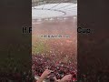 If RCB won the IPL cup 🏆