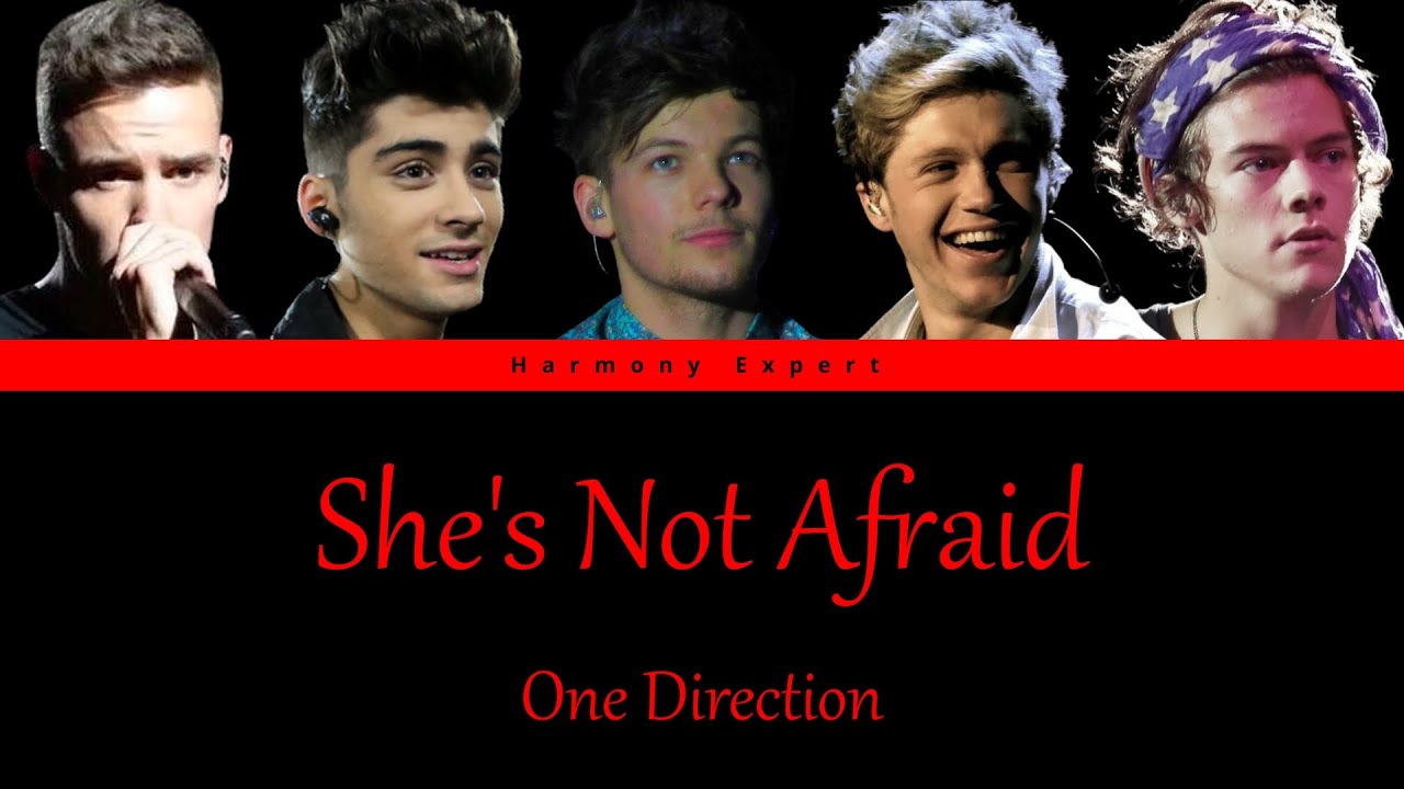 One Direction She's Not Afraid Color Coded Lyrics YouTube