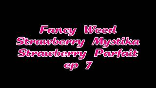 Strawberry Terps ep 7
