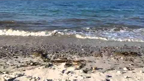 Cape Cod Sea of Tranquility