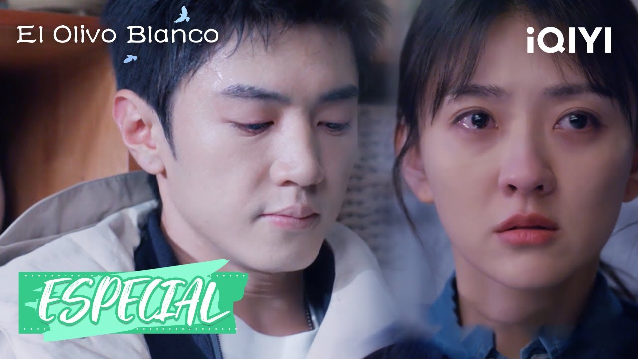 🥺Li Zan y Song Ran están discutiendo. | El Olivo Blanco13-15 | iQIYI ...