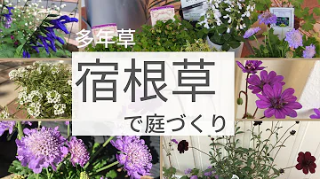 花壇のレイアウト تحميل Download Mp4 Mp3