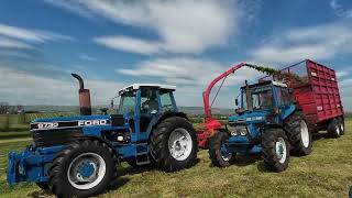 Classic Fords at Grass Silage 2024