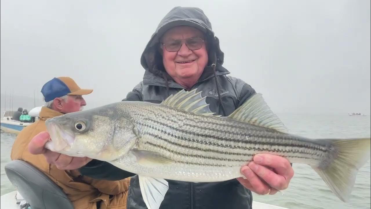 Striper Express Guide Service on Lake Texoma Fishing Report YouTube