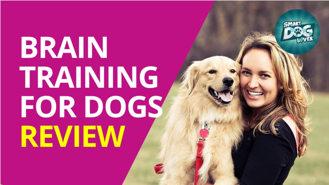 Brain Training for Dogs™ Review - Don't Buy Until You Watch This‎