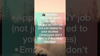 Orientation Year Visa Netherlands (Zoekjaar) | Stay &amp; Work After Graduation🇳🇱 #studyinnetherlands