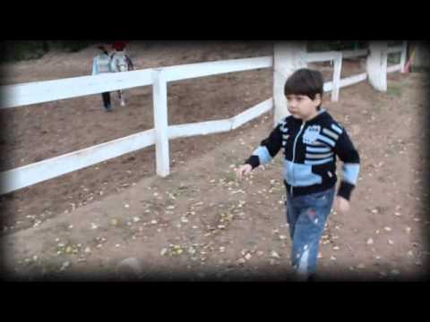 Аутизм .Особое детство.