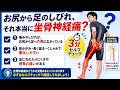 お尻から足のしびれ、それ本当に坐骨神経痛?【3分セルフチェック】