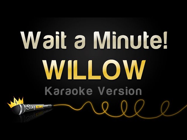 WILLOW - Wait a Minute! (Karaoke Version) class=