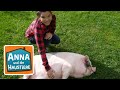 Minischwein | Information für Kinder | Anna und die Haustiere