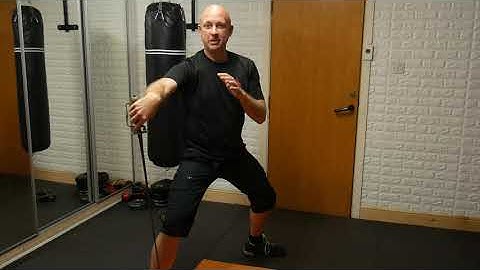 Parries (small sword)