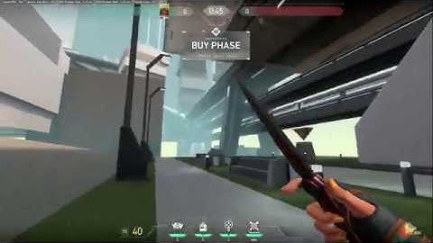 (gamebreaking ?) glitch in Valorant with Raze and Jett