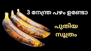 3 നേന്ത്രപഴം ഉണ്ടോ 👌10 മിനിറ്റിൽ ആരേയും കൊതിപ്പിക്കും പലഹാരം || Banana || Snack Recipe