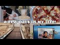 a few days in my life!🌻 (studying, grocery shopping, food)