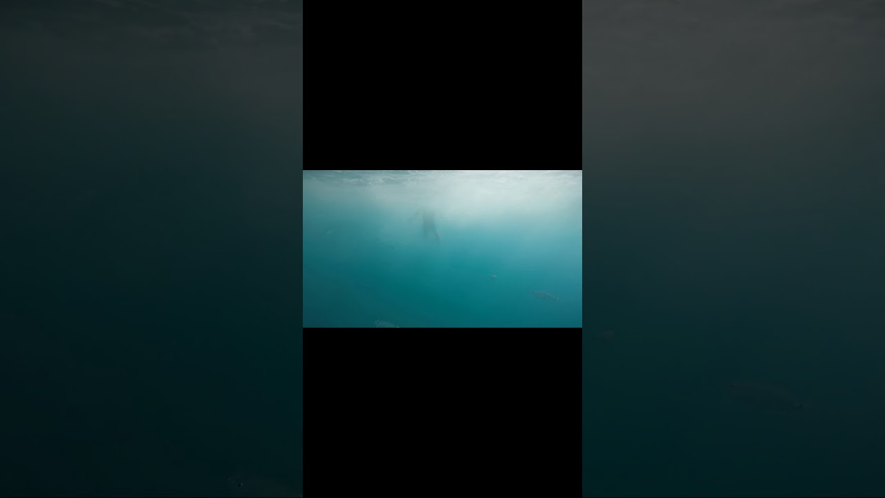 Raymar resort. Кормление рыб )))