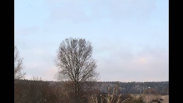 Canon 550D time lapse with Linux Ubuntu 12.10 w/o frame count limit