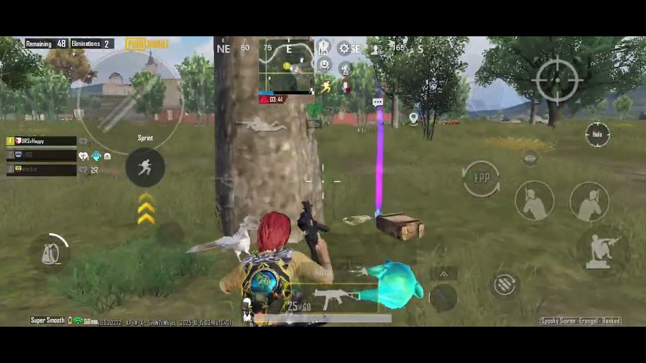 Prankster Ghost Revenge