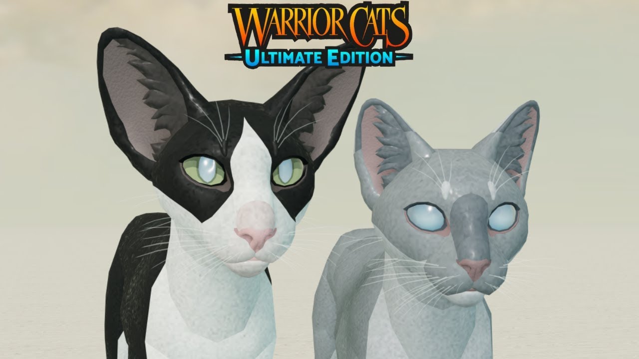 Cataract pupils [] Warrior Cats Ultimate Edition Ideas YouTube