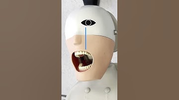 ORE & LDS – Manikin & Operator Position #comingsoonseries