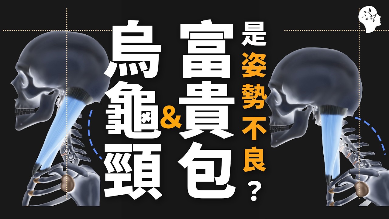 烏龜頸與富貴包不是姿勢不良，而是呼吸代償！