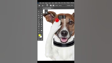 The Hidden secret of Clone stamp tool #shorts #photoshop #short