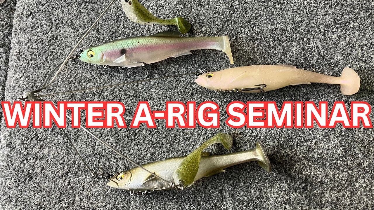 Зимняя ловля окуня в Алабаме: оснастка DOMINATION: новая модификация Megabass Magdraft Mod сокруш...