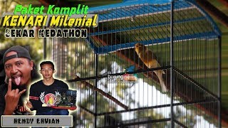 Kenari Sekar Kedathon, Paket komplit kenari masa Kini