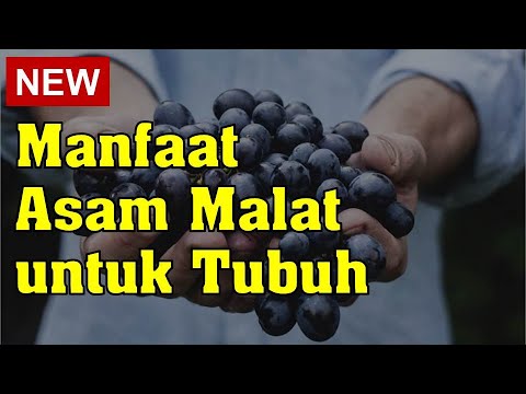 Video: Apa itu asam malat?