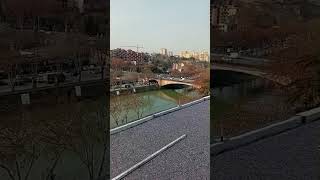 ბეტონოს დასხმა გაპრიალება