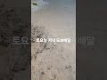 눈폭탄#불토#도보배달