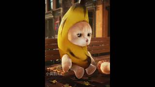 Elgato Reversed The Video1 #meme #memes #elgato  #bananacat