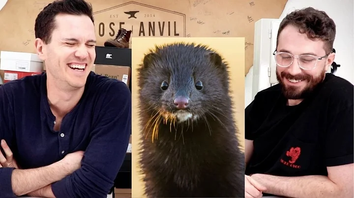 The Ultimate Guide to Mink Oil on Boots | Benefits, Alternatives, and More (ft @RoseAnvil!)