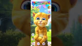 Джинджер Рыжий Говорящий Котик