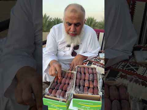 تمر المجدول من مزارع الحناظل