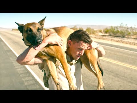 Нёс армейскую собаку через пустыню чтобы успеть на похороны (краткий пересказ)