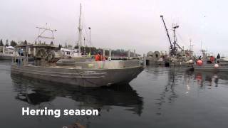 Web Series Wet Wild N Wacky British Columbia Episode 4
