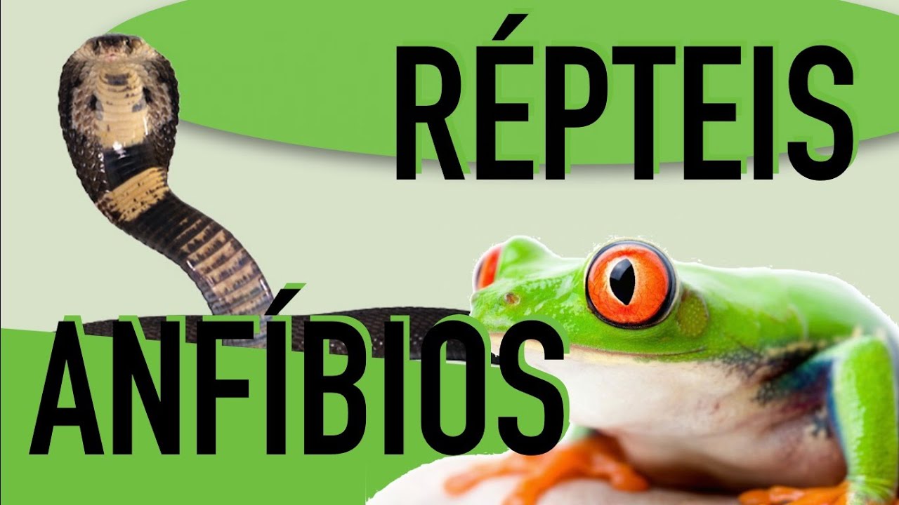 LIVRO A VIDA DOS VERTEBRADOS POUGH EPUB DOWNLOAD