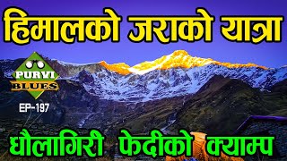 Dhaulagiri Round Trip हमलक जरक यतर Italy Base Camp Myagdi