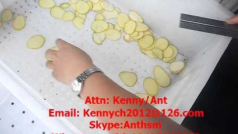 sh-100 Potato, vegetable and fruit slicing cutting machine, slicer, chips slice cutter