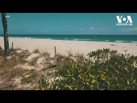 მილიარდობით დოლარის პროდუქტი ფუჭდება ფლორიდაში