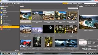 Adobe Bridge