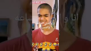 الزيتون العراقي ما ينتهي