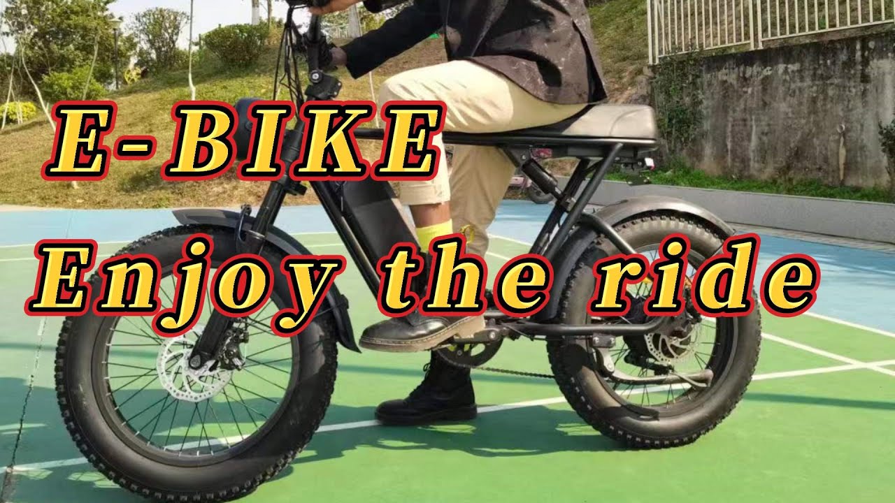 E-bike enjoy the ride. 