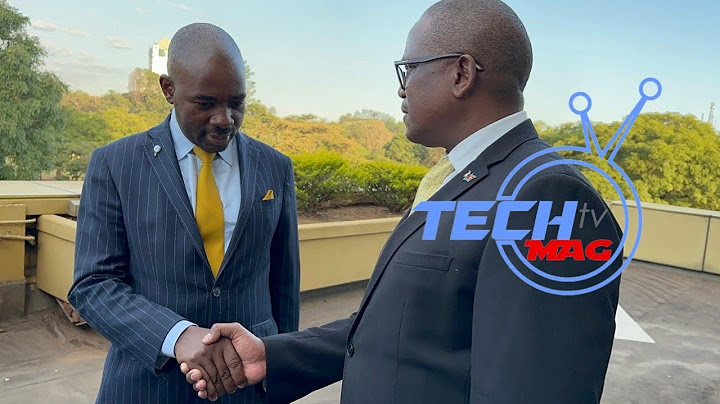 Nelson Chamisa Meets SADC Delegation To Zimbabwe