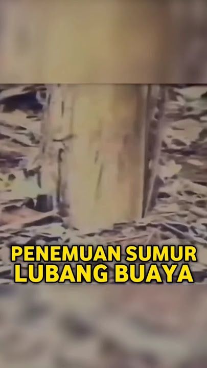 DETIK-DETIK PENEMUAN SUMUR TUA LUBANG BUAYA G30S PKI