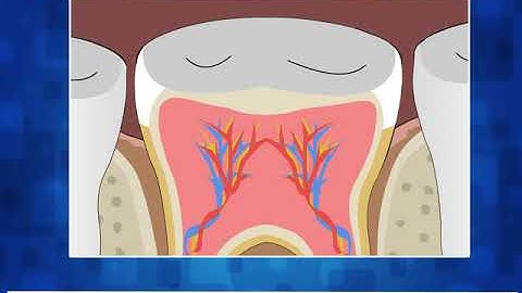 Incredible Science Class 4-Chapter 2-Page Number 21